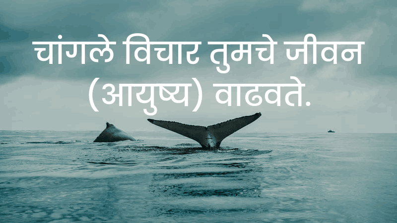 Motivational Quotes In Marathi For Success